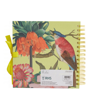 RHS Scrapbook Tropical 8in